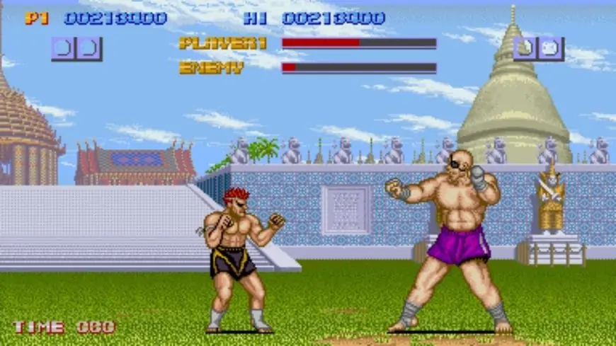 Adon vs Sagat: Street Fighter 1 video game