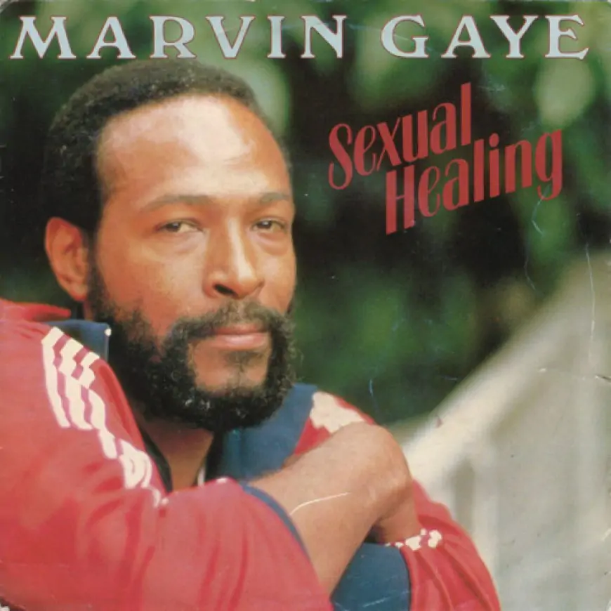 Marvin Gaye: Sexual Healing single cover