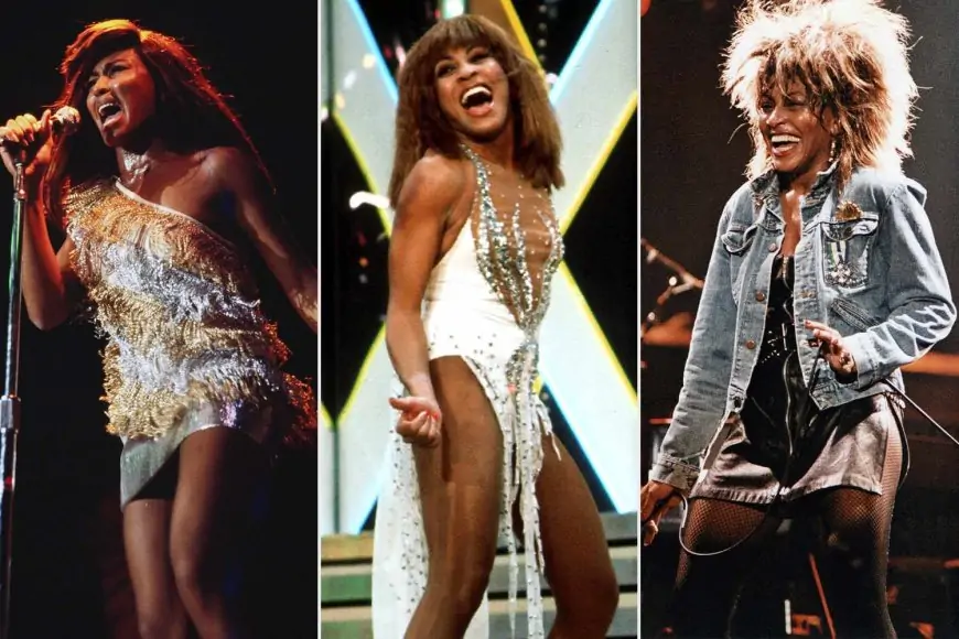 80s Tina Turner collage