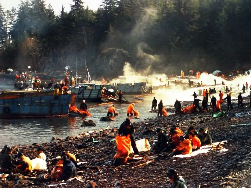The clean up operation of the Exxon Valdez Oil Spill in Alaska