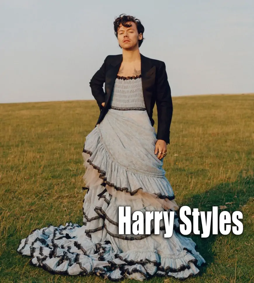 Harry Styles wearing dress
